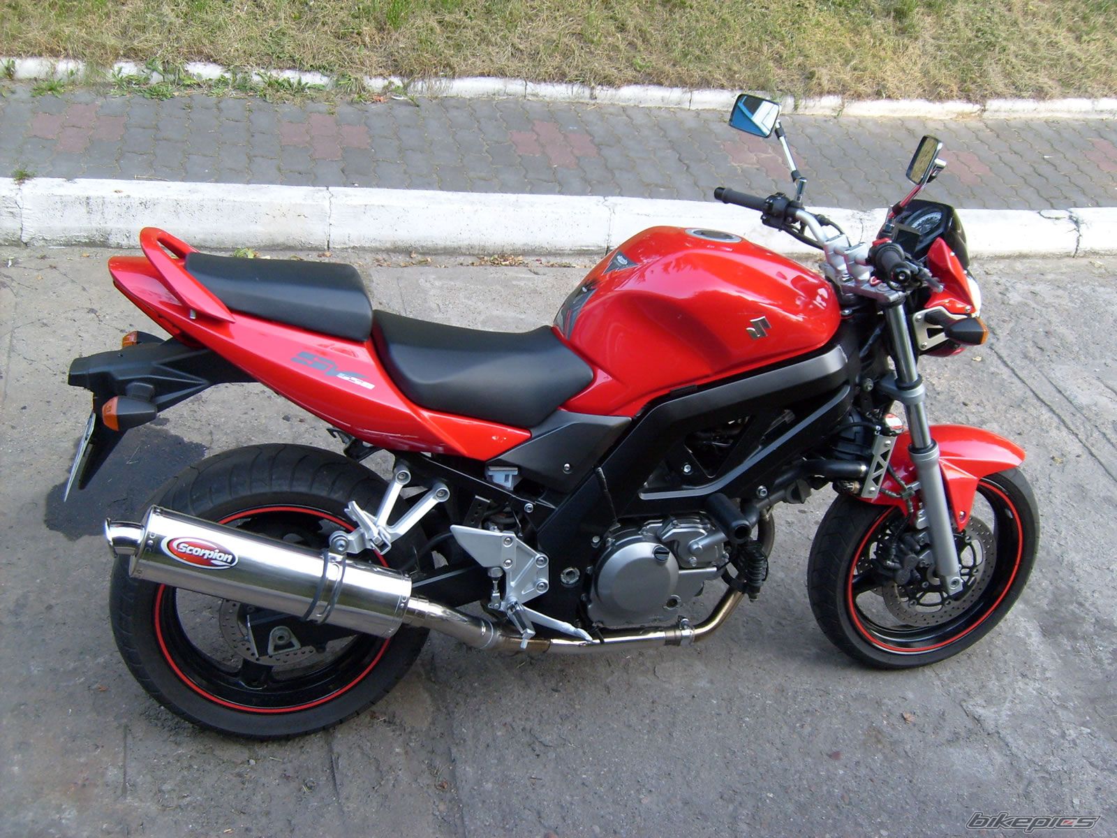 2005 SUZUKI SV 650 | Picture 1038124 motorcycle photo