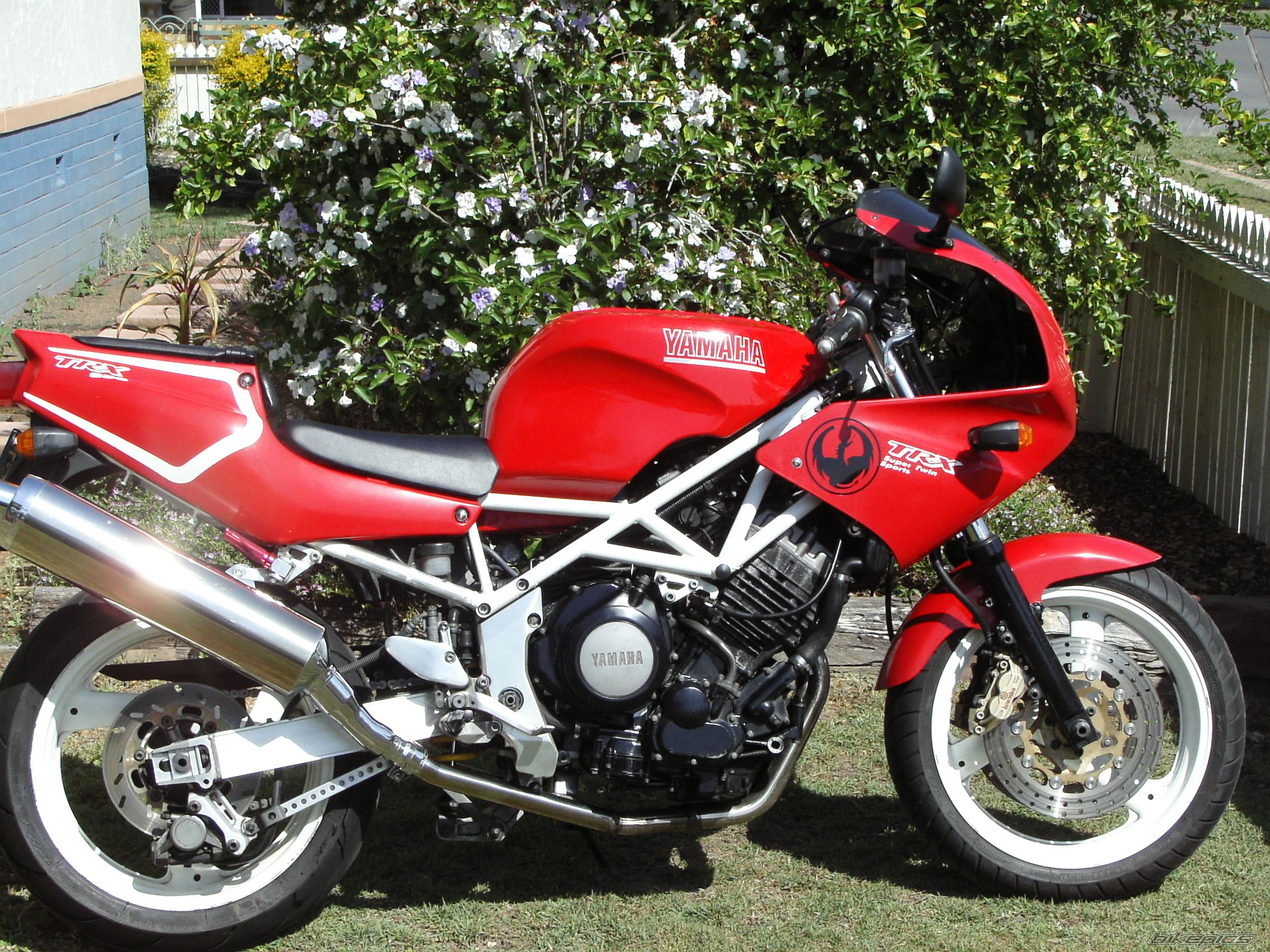 1995 YAMAHA TRX 850 | Picture 1038300 motorcycle photo