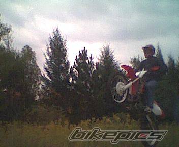 2001 HONDA CR 250 | Picture 10385 motorcycle photo