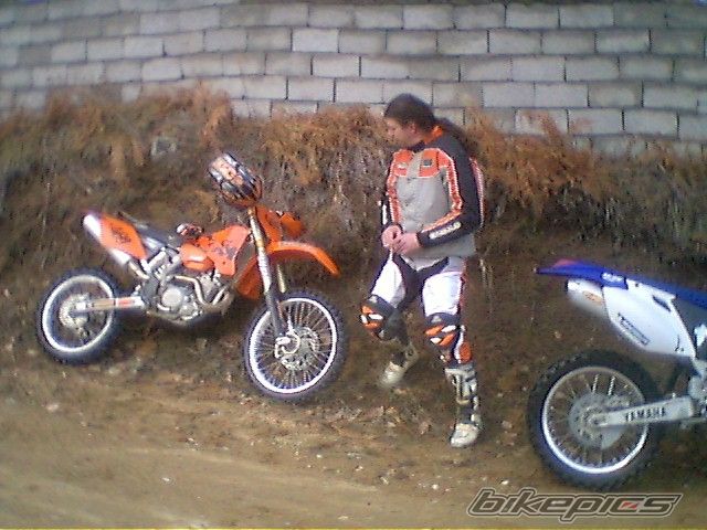 2003 KTM 450 SX | Picture 1038718 motorcycle photo