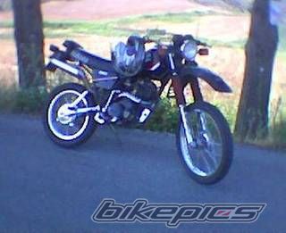 1982 YAMAHA XT 550 | Picture 1038969 motorcycle photo