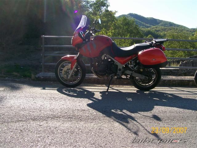 2005 TRIUMPH TIGER | Picture 1039106 motorcycle photo