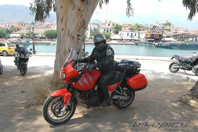 2006 TRIUMPH TIGER | Picture 1039118 motorcycle photo