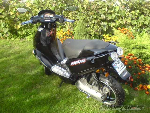 1999 APRILIA SR WWW 50 | Picture 1039521 motorcycle photo
