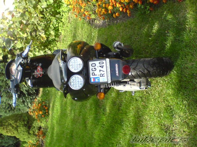 1999 APRILIA SR WWW 50 | Picture 1039527 motorcycle photo