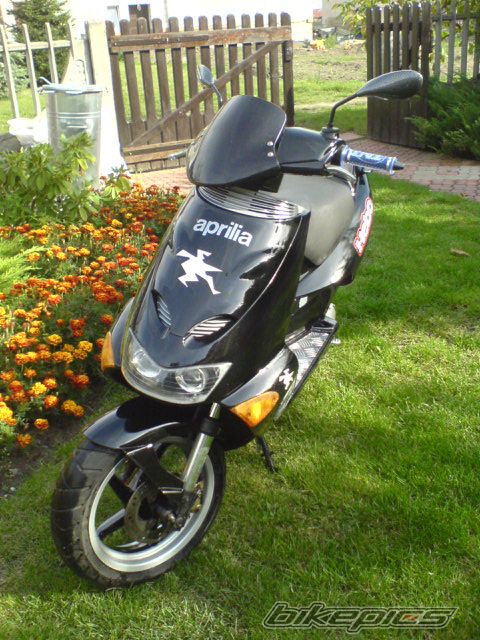 1999 APRILIA SR WWW 50 | Picture 1039544 motorcycle photo