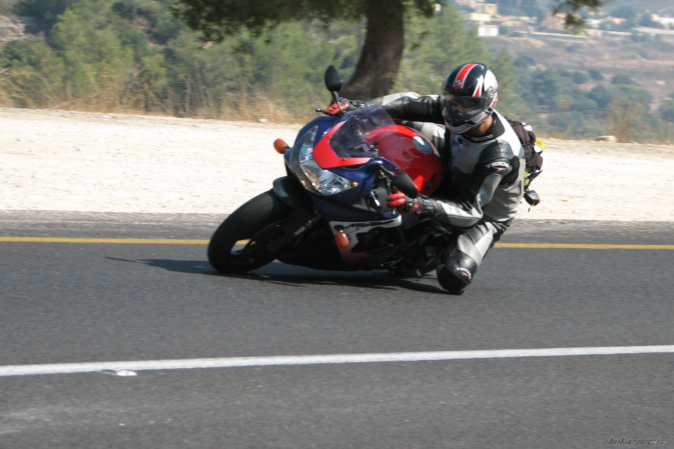 2000 HONDA CBR 900 | Picture 1039752 motorcycle photo