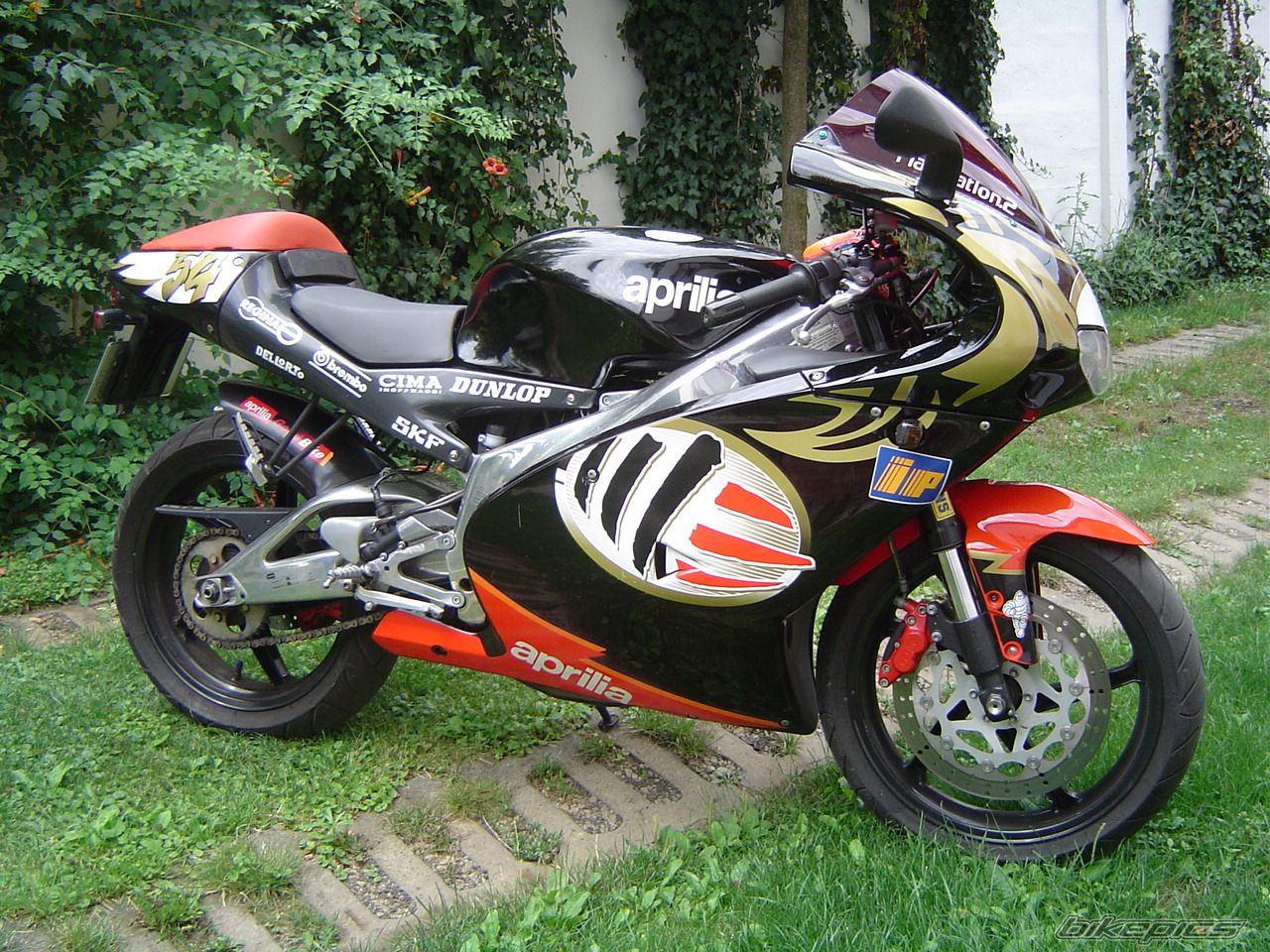 2001 APRILIA RS 125 | Picture 1039753 motorcycle photo