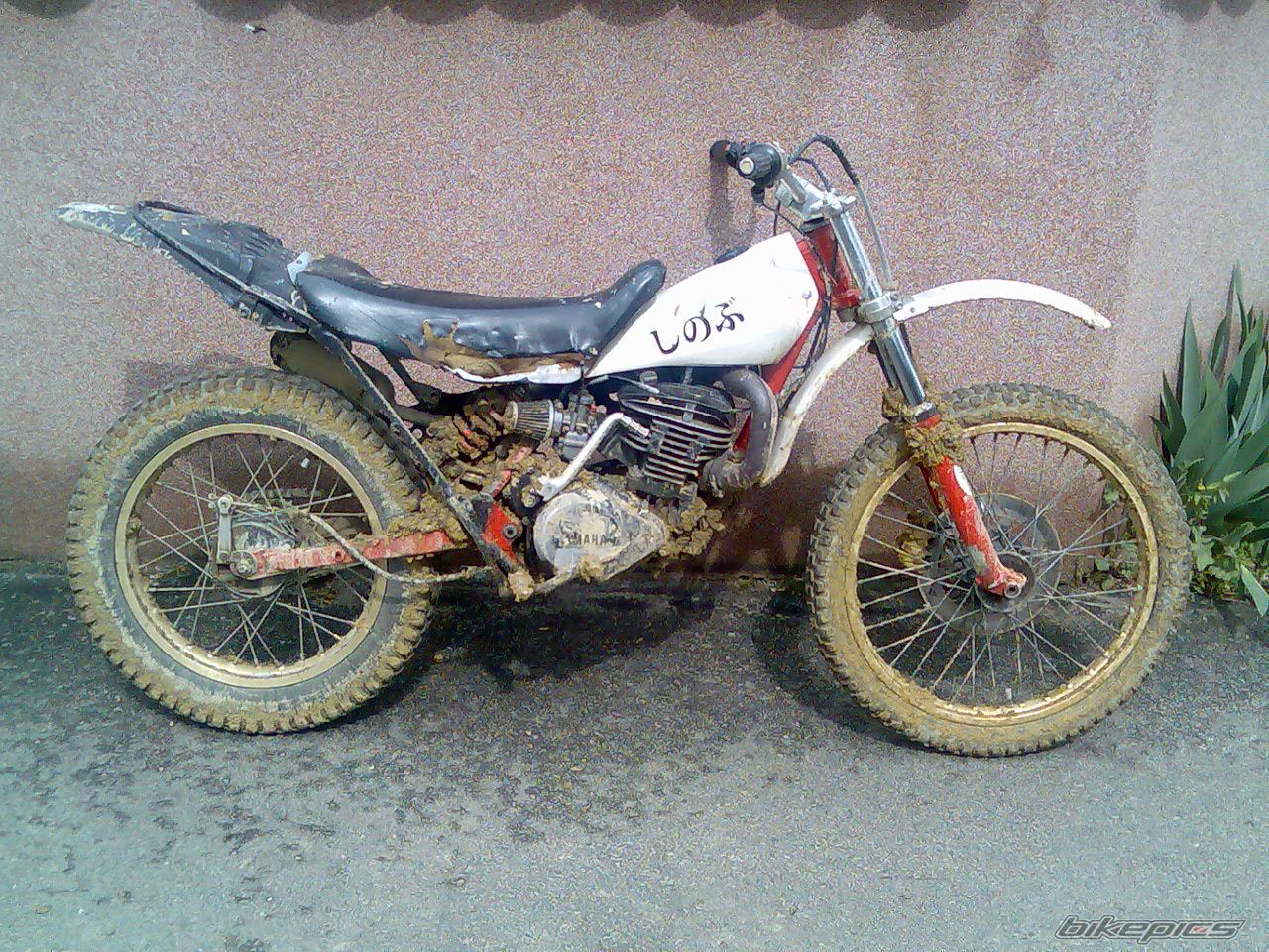 1987 YAMAHA TY 250 | Picture 1039894 motorcycle photo