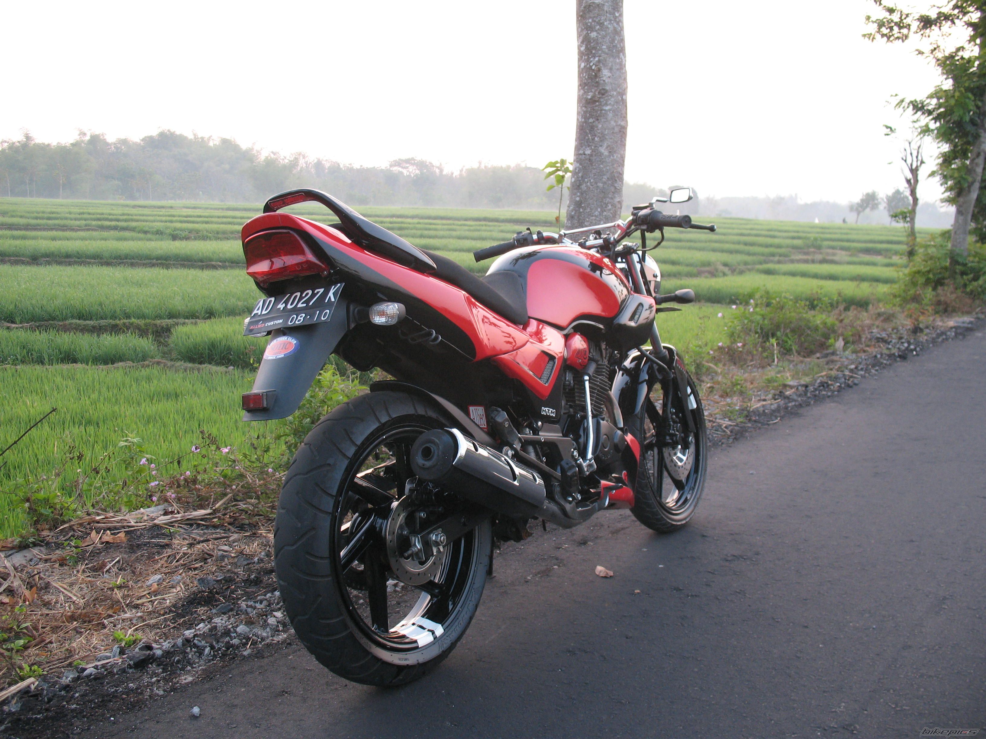1995 HONDA TIGER | Picture 1040300 motorcycle photo
