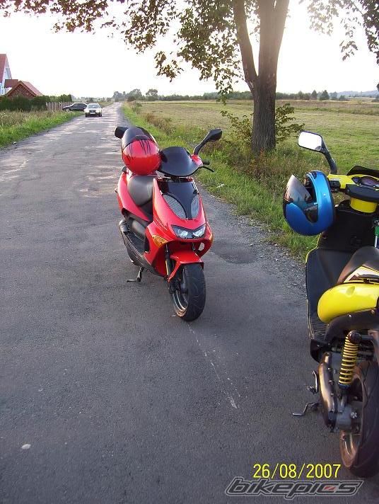 2001 APRILIA SR WWW 50 | Picture 1040494 motorcycle photo