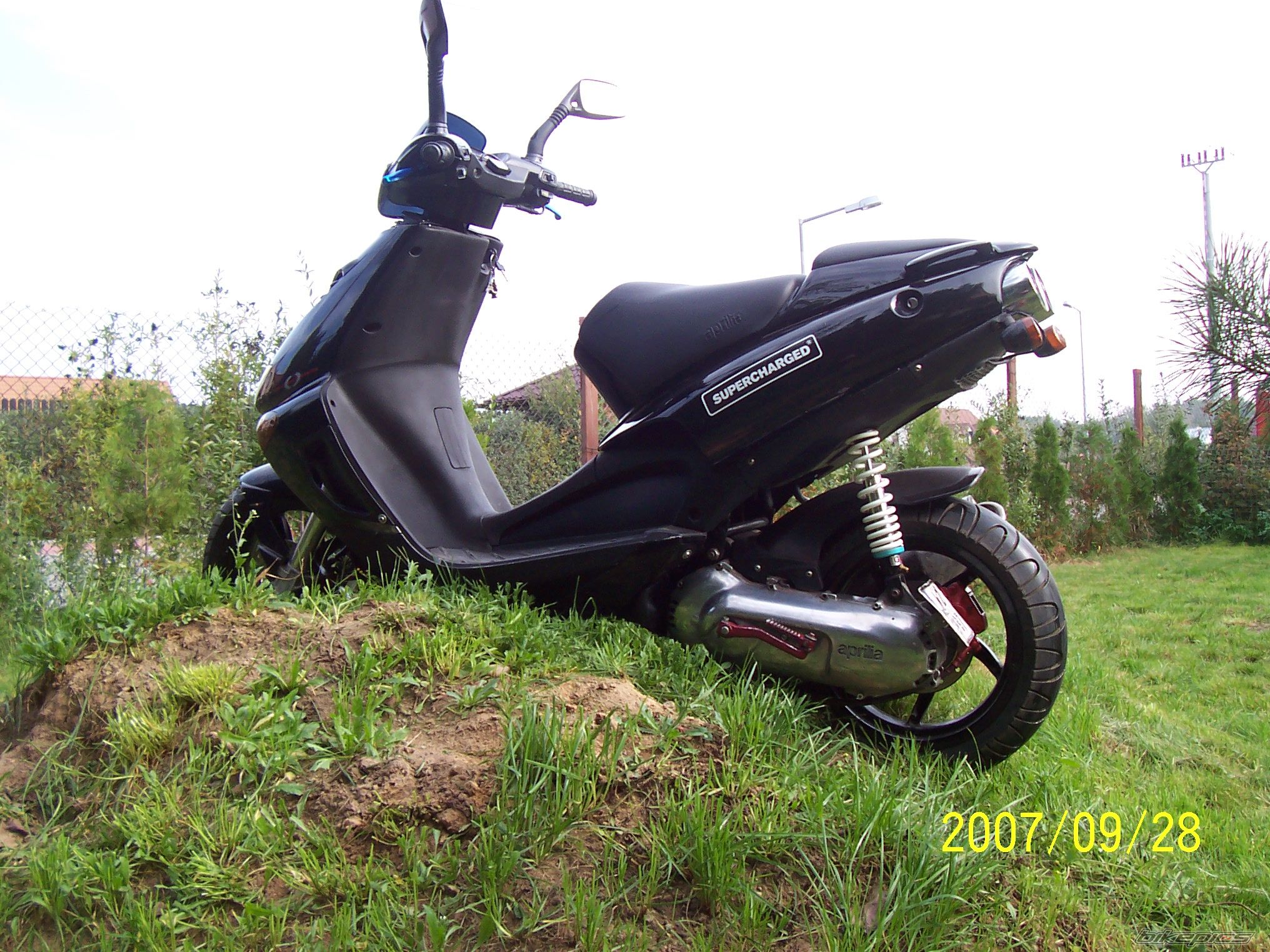 1998 APRILIA SR RACING 50 | Picture 1040596 motorcycle photo