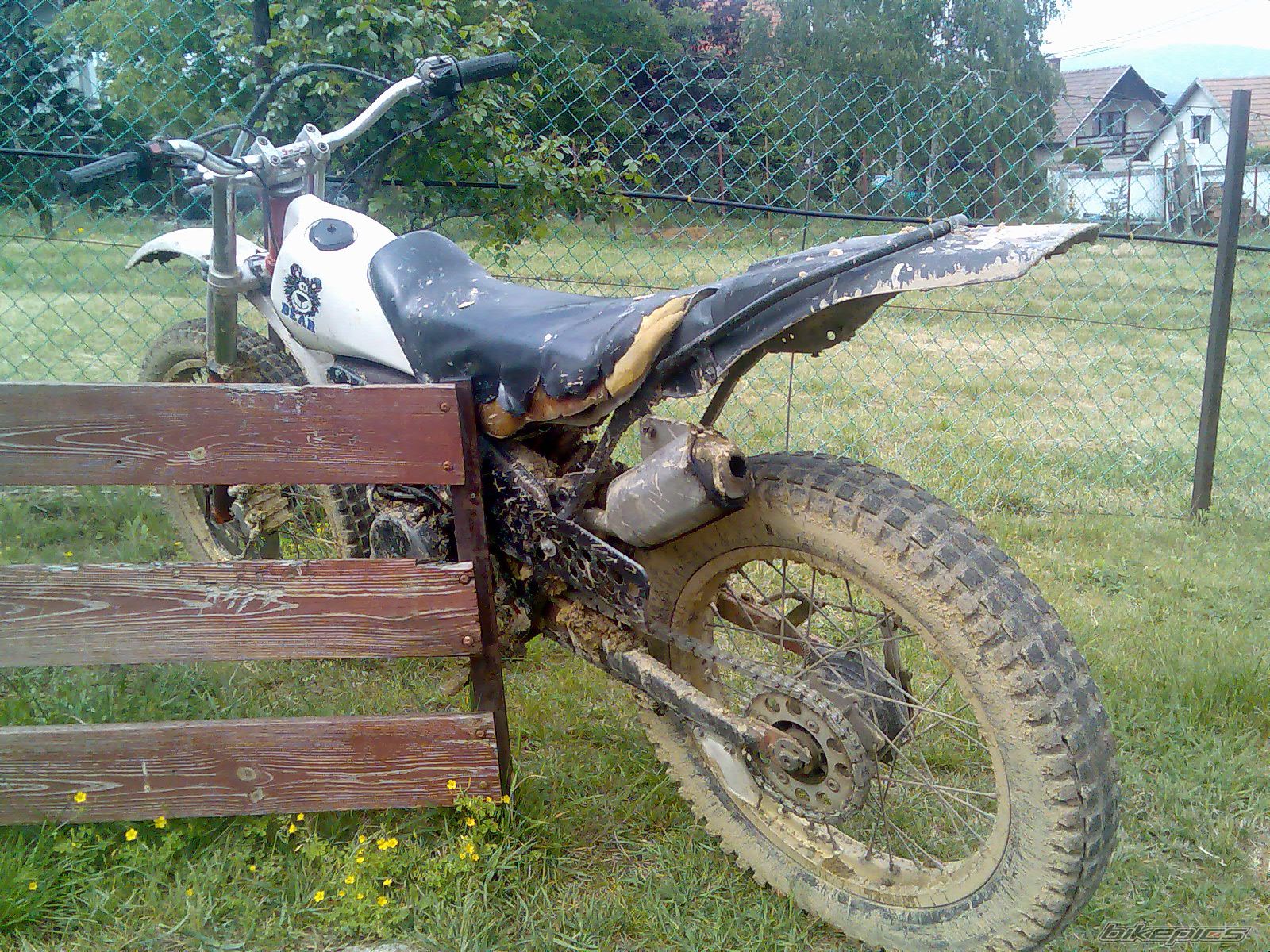1987 YAMAHA TY 250 | Picture 1040664 motorcycle photo