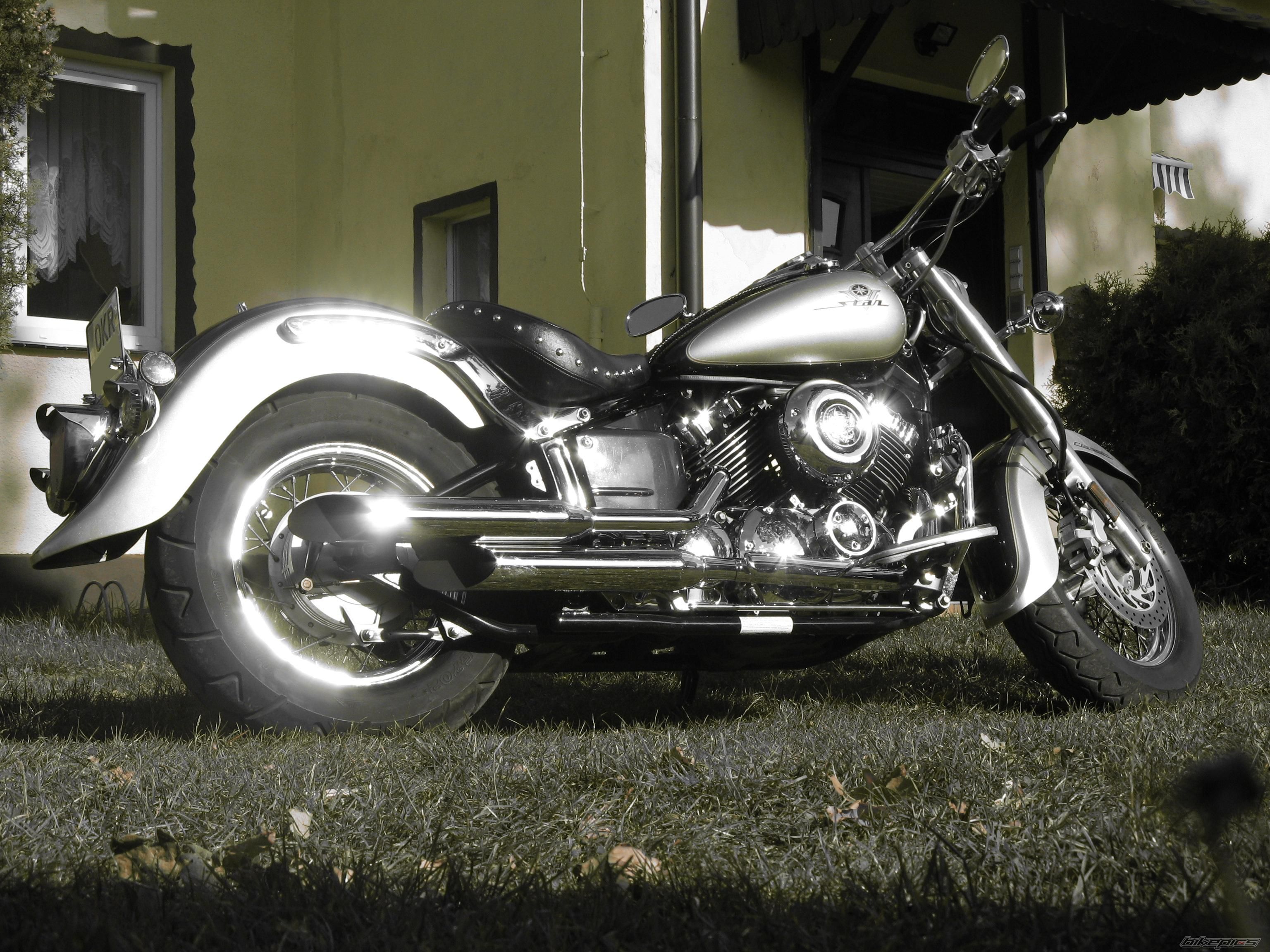 2003 YAMAHA XVS 650 V STAR | Picture 1040725 motorcycle photo