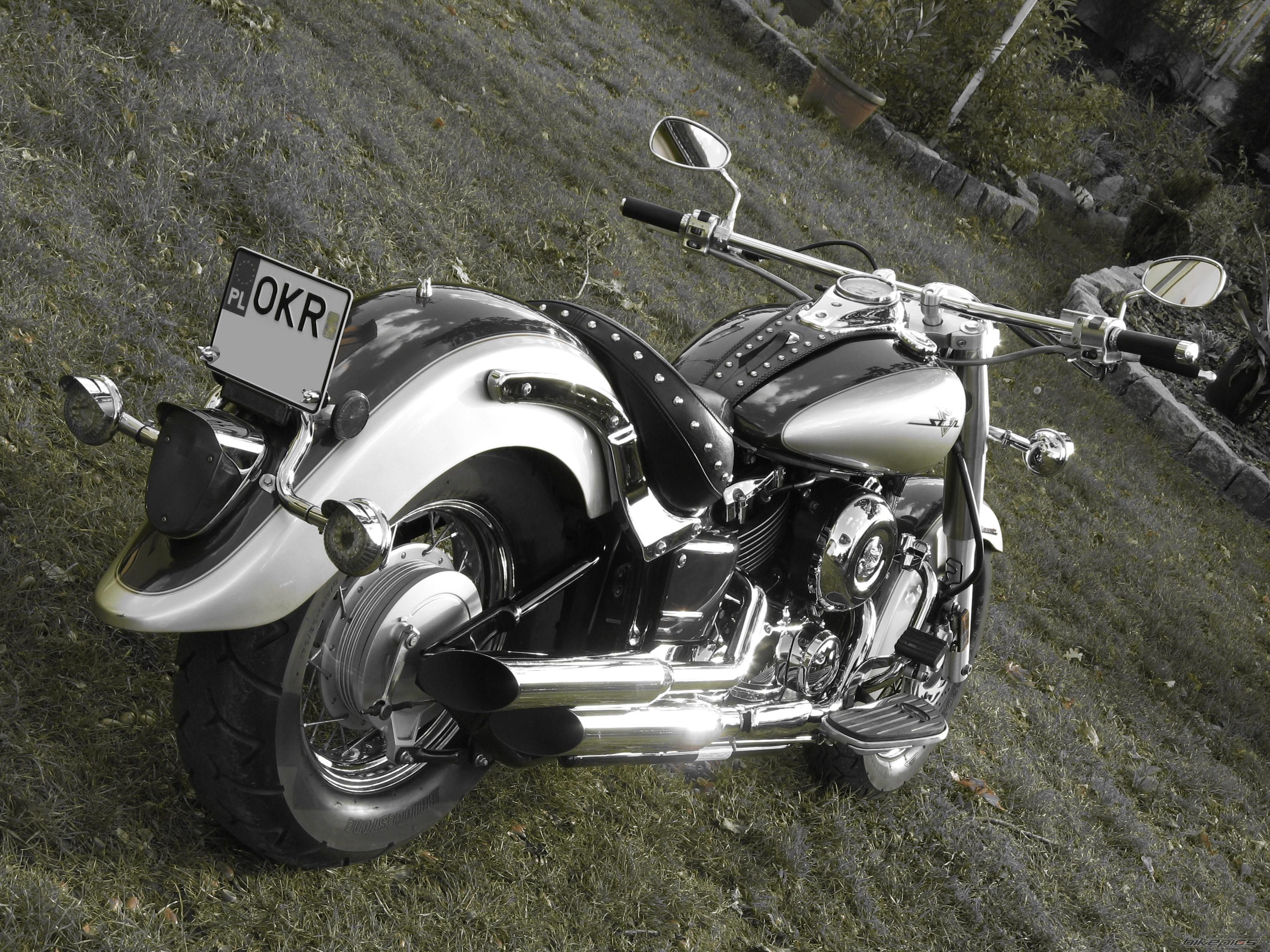 2003 YAMAHA XVS 650 V STAR | Picture 1040734 motorcycle photo