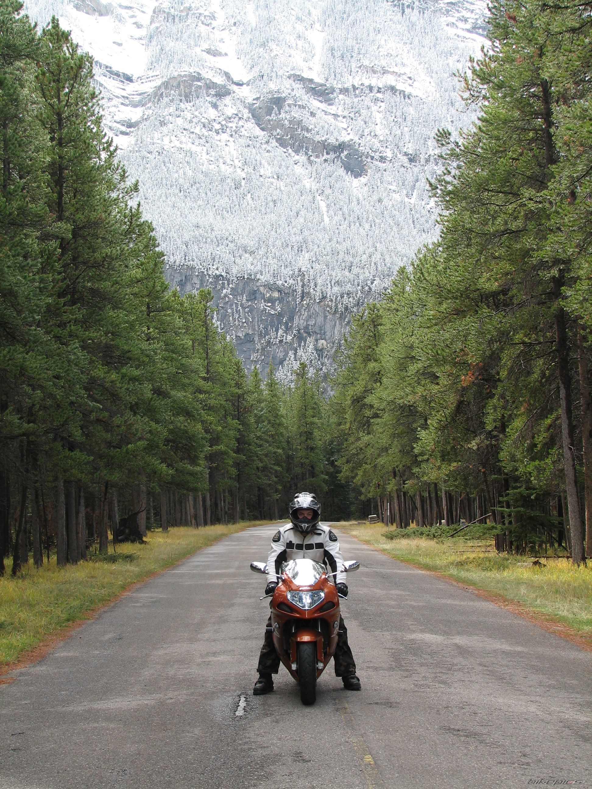2003 SUZUKI GSX R 750 | Picture 1041633 motorcycle photo