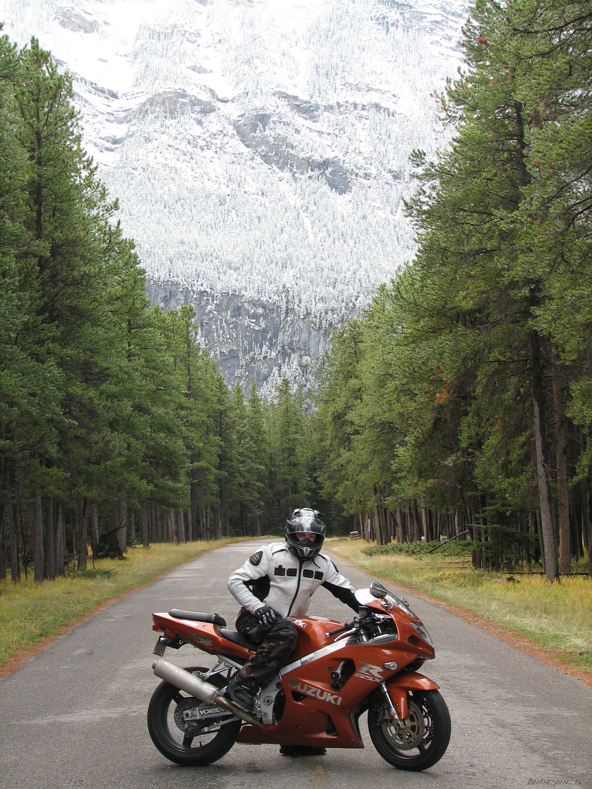 2003 SUZUKI GSX R 750 | Picture 1041636 motorcycle photo