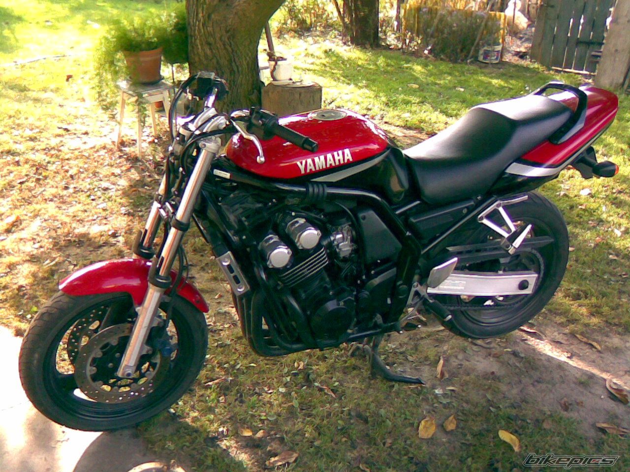 2000 YAMAHA FZS 600 FAZER | Picture 1041821 motorcycle photo
