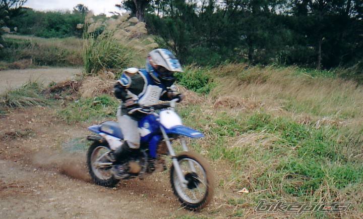 2004 YAMAHA PW 80 | Picture 104232 motorcycle photo