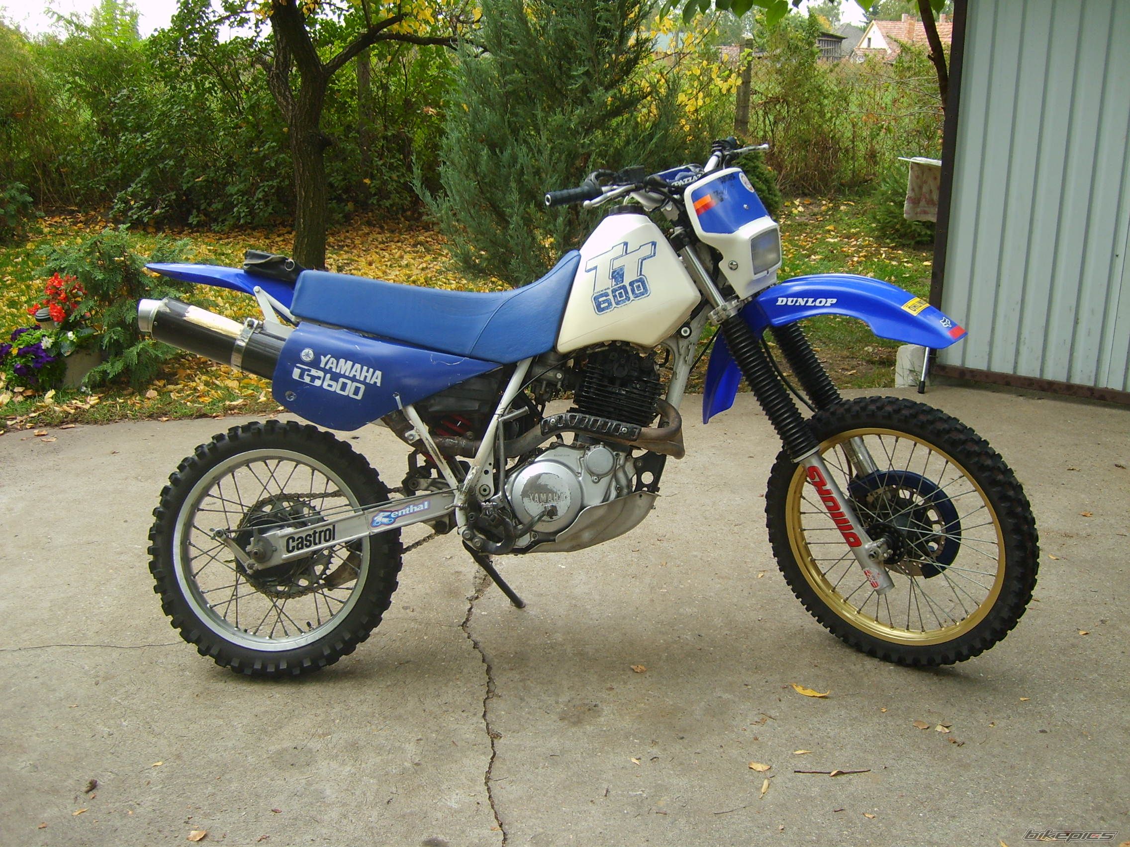 1993 YAMAHA TTR 600 | Picture 1042828 motorcycle photo