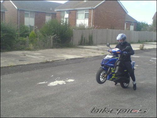 2001 SUZUKI AY 50 | Picture 1043045 motorcycle photo