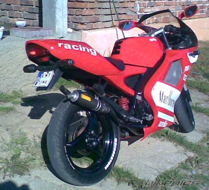 1994 APRILIA RS 50 | Picture 1043063 motorcycle photo