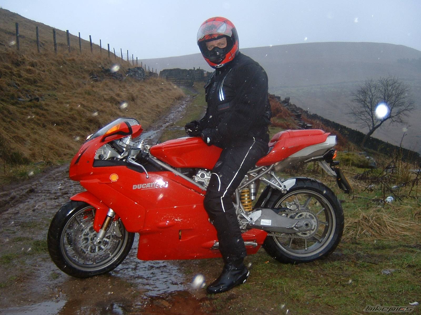 2004 DUCATI 999 | Picture 104331 motorcycle photo