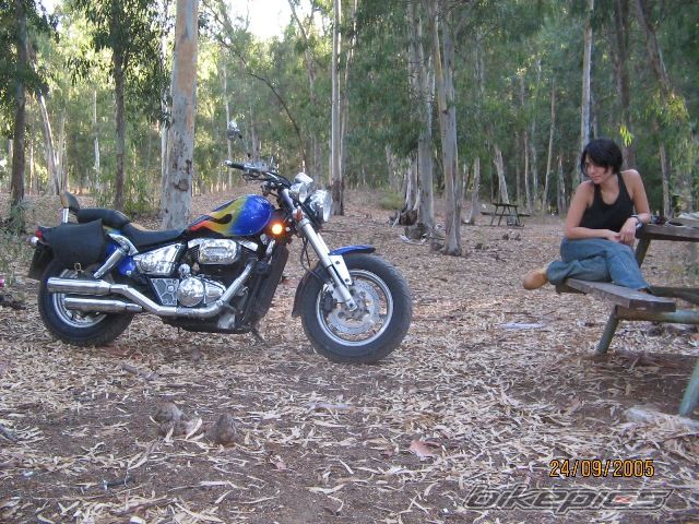 1997 SUZUKI MARAUDER VZ 800 | Picture 1043324 motorcycle photo