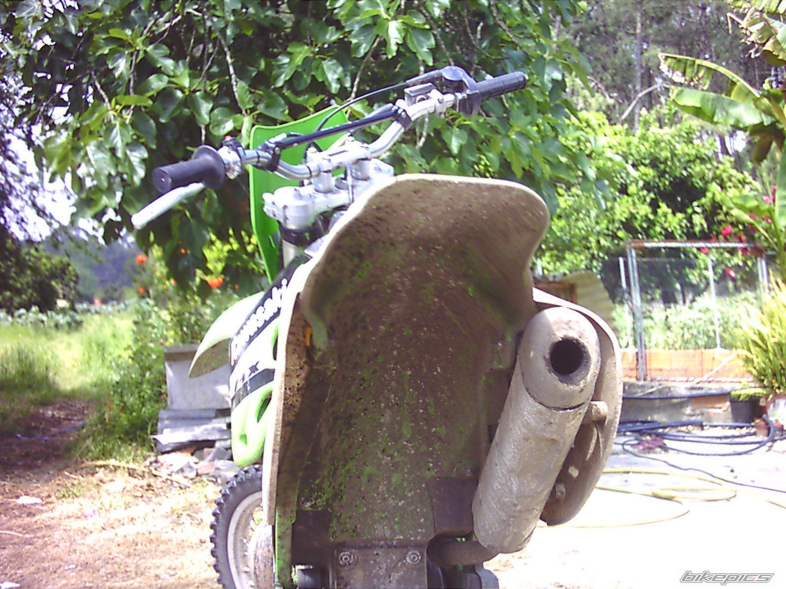 1999 KAWASAKI KX 250 | Picture 1043377 motorcycle photo