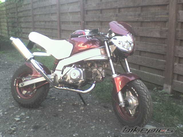 2003 SKYTEAM PBR | Picture 1043890 motorcycle photo