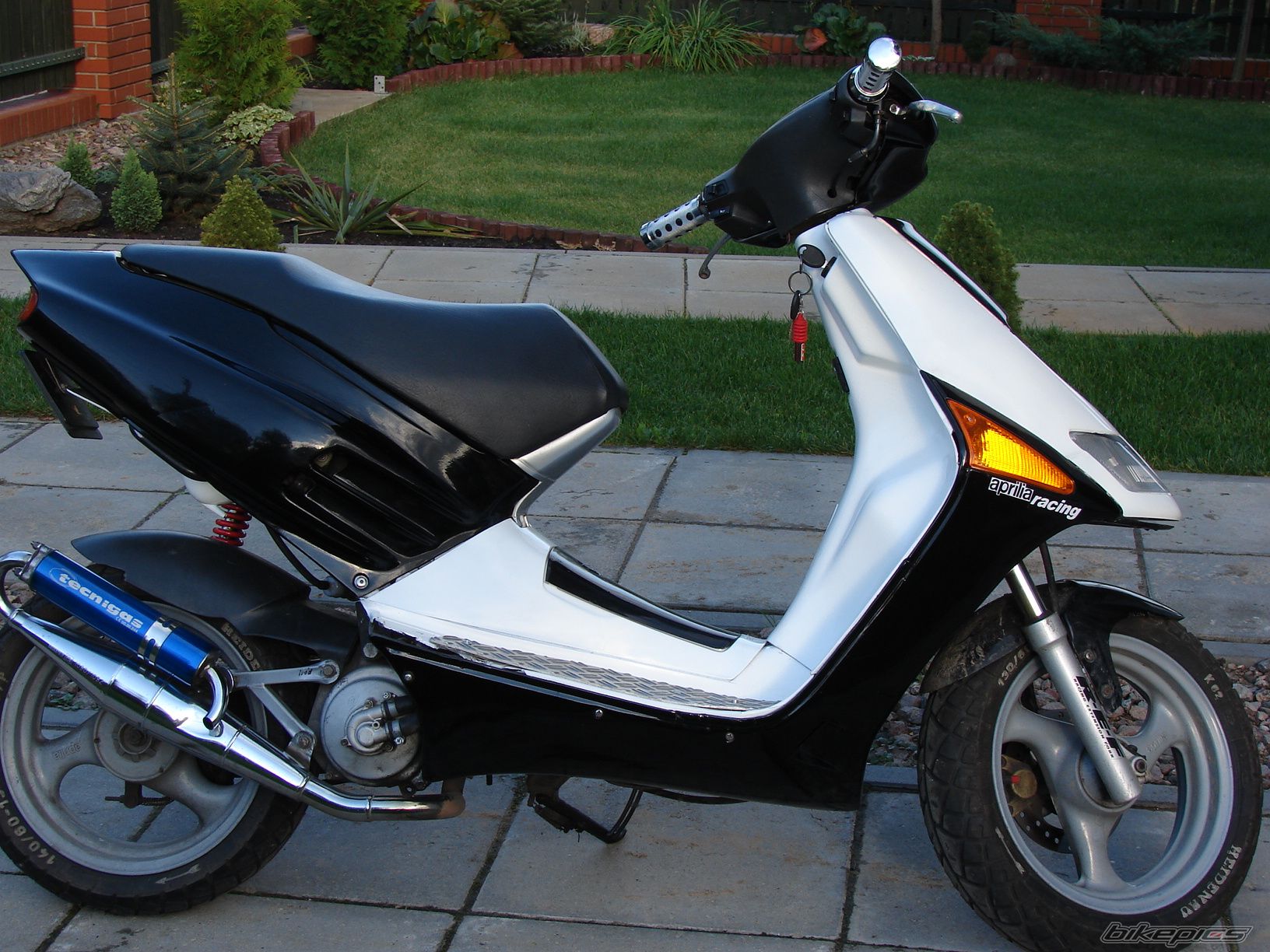 2008 APRILIA SR 50 | Picture 1043928 motorcycle photo