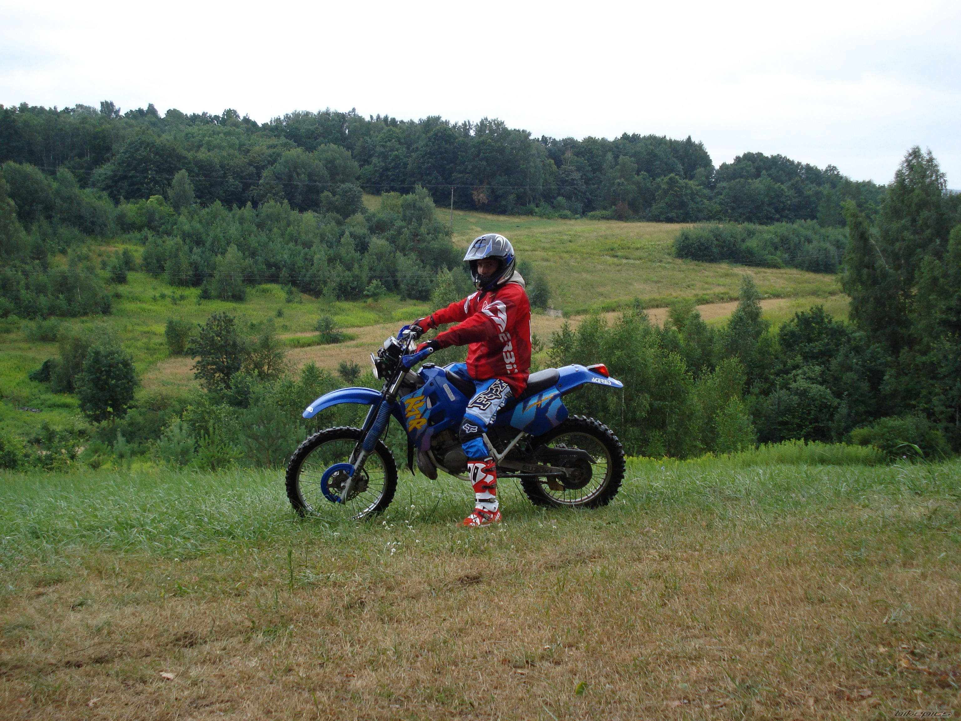 1996 SUZUKI TS 125 | Picture 1043946 motorcycle photo