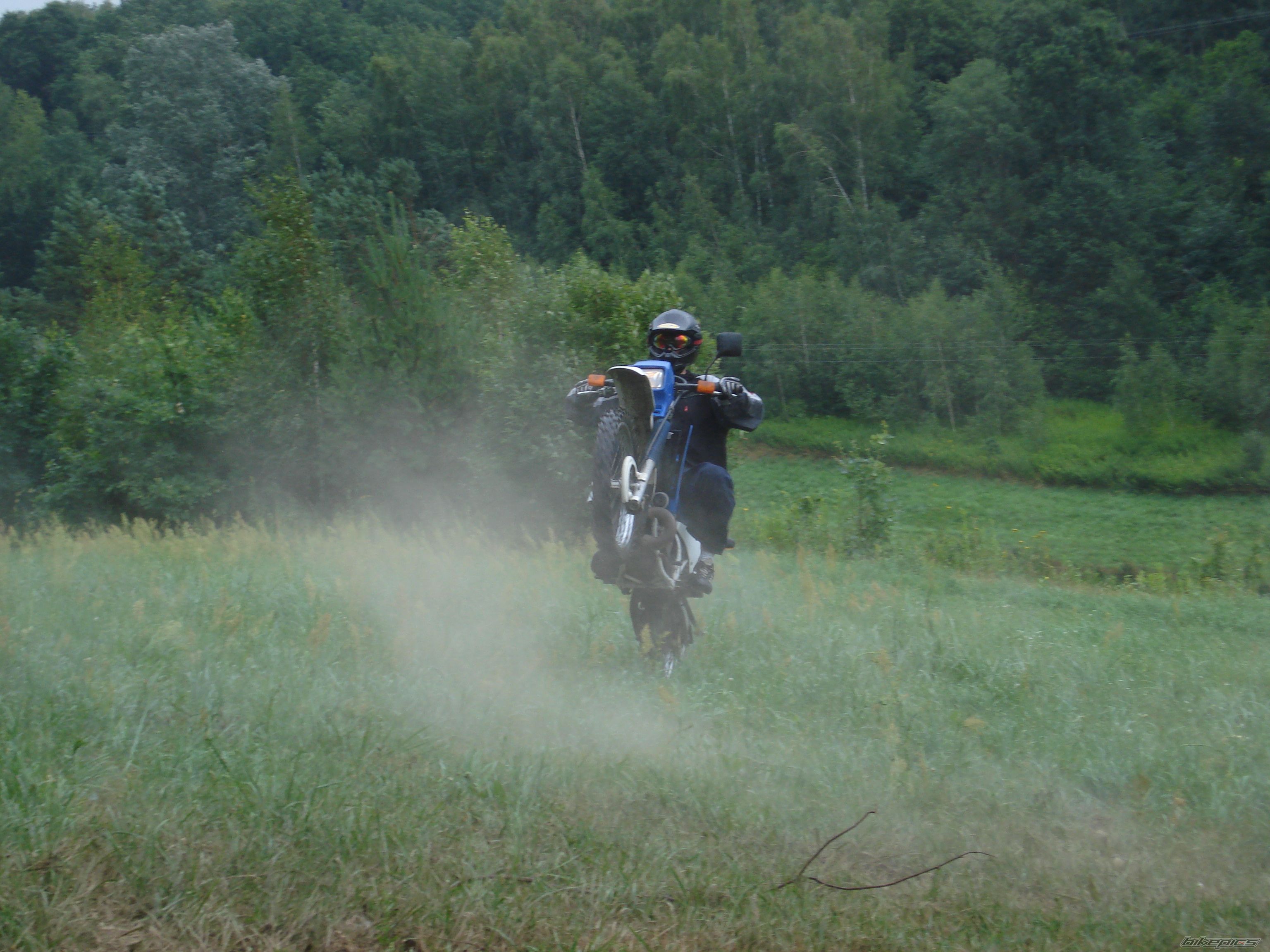 1996 SUZUKI TS 125 | Picture 1043947 motorcycle photo