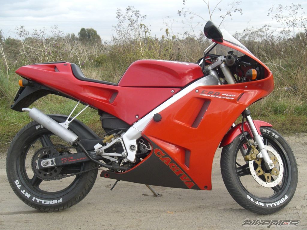1995 CAGIVA PRIMA 50 | Picture 1045119 motorcycle photo