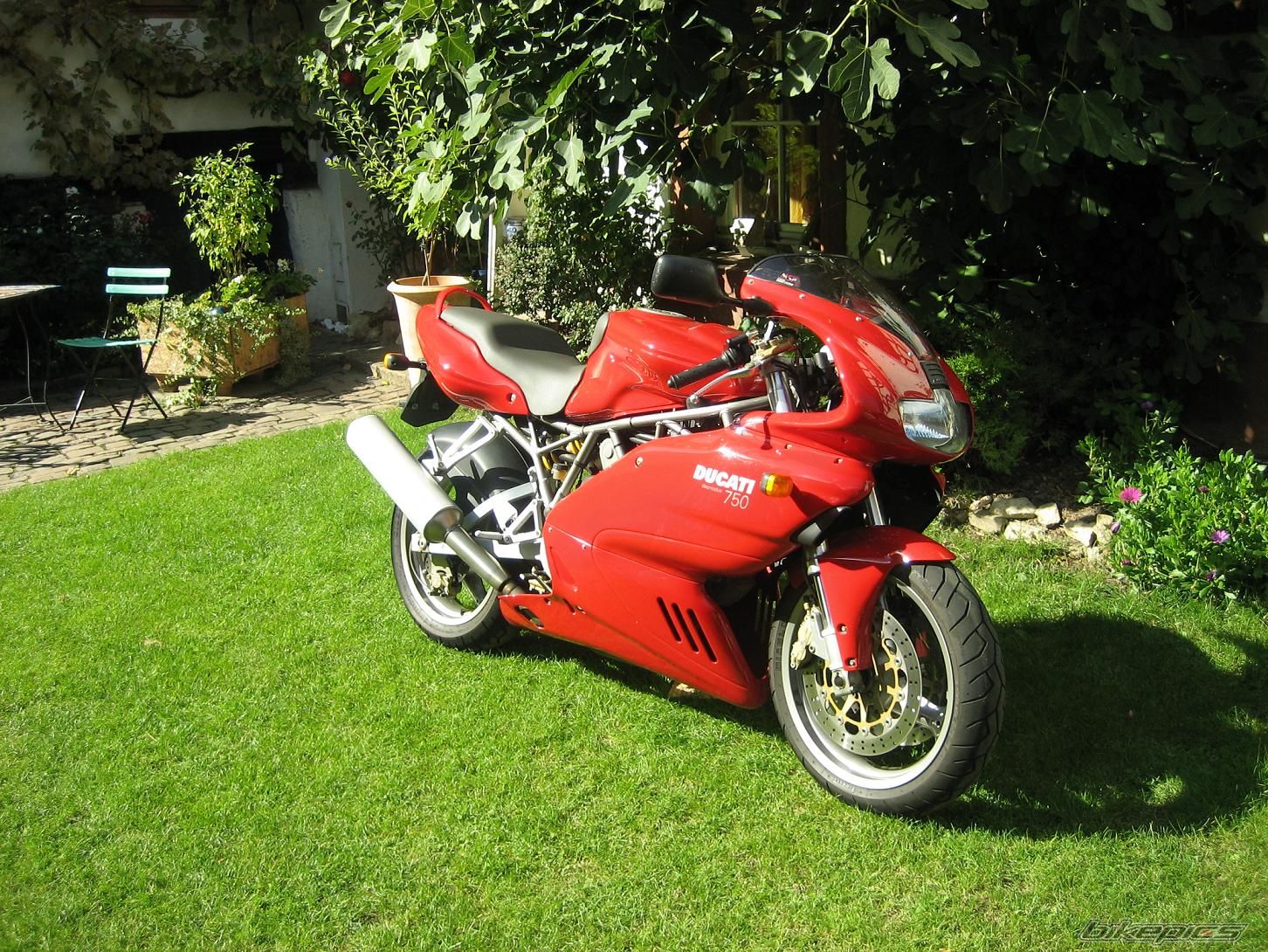 2002 DUCATI 750 SS | Picture 1045362 motorcycle photo