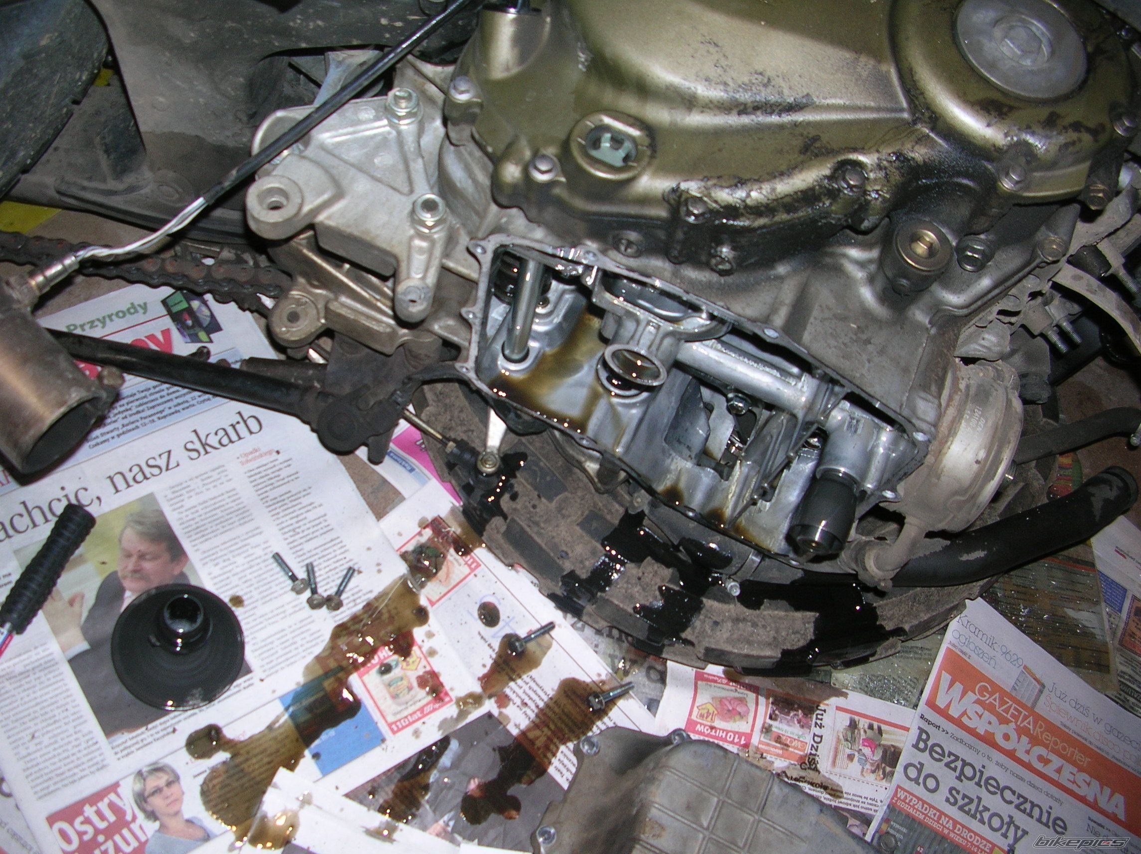 2001 HONDA CBR 600 FS | Picture 1045370 motorcycle photo