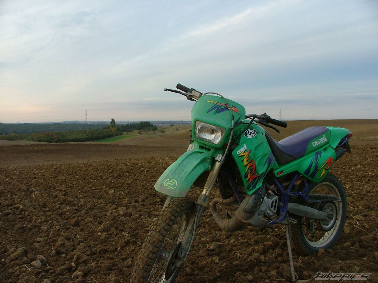 1998 DERBI SENDA R 50 | Picture 1045951 motorcycle photo
