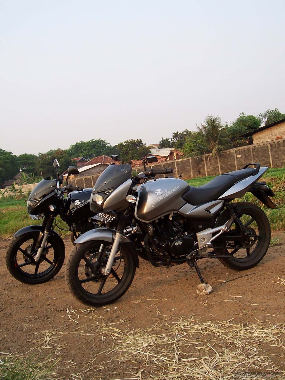 2007 BAJAJ PULSAR 180 | Picture 1045982 motorcycle photo