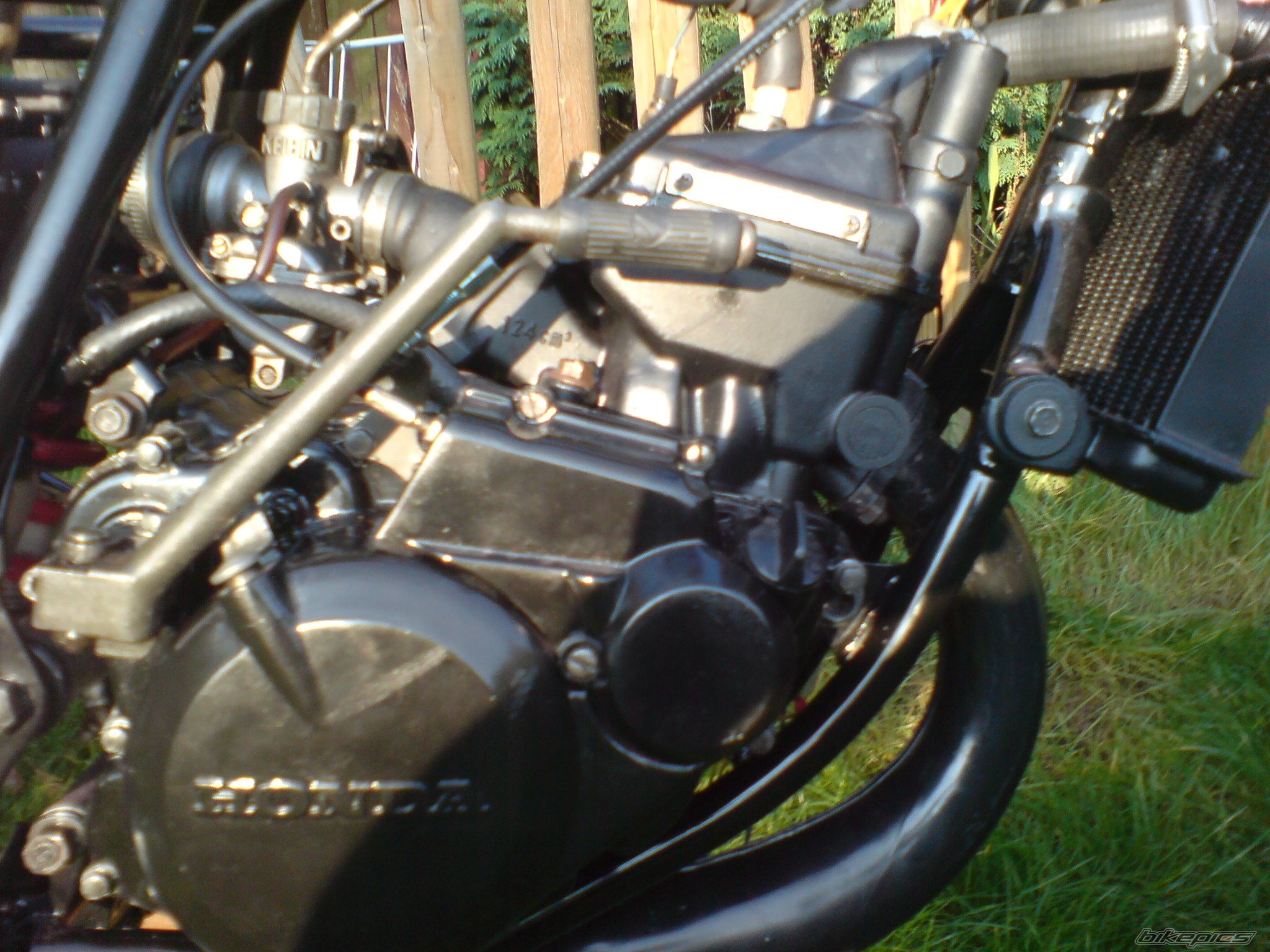 1986 HONDA MBX 125 F | Picture 1047492 motorcycle photo
