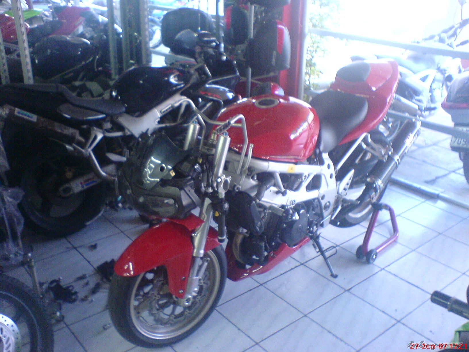 1997 SUZUKI TL1000S | Picture 1047627 motorcycle photo