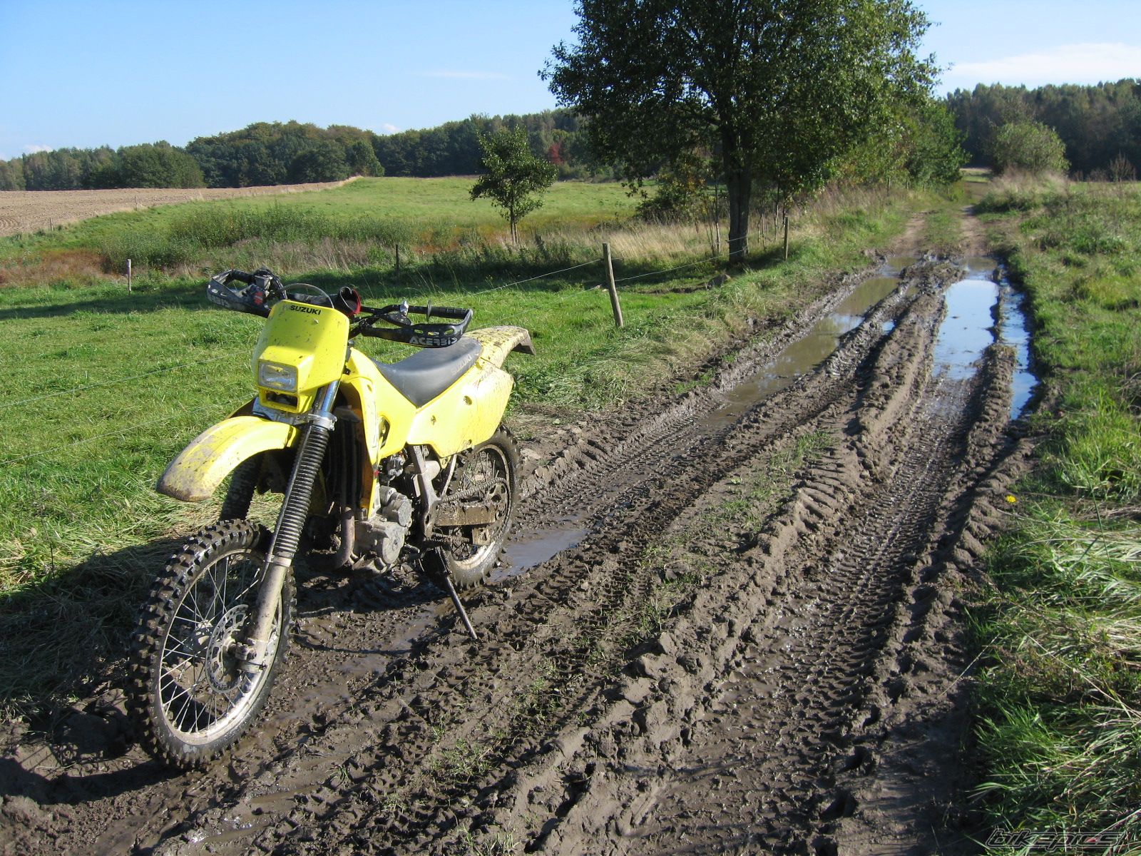 2003 SUZUKI DRZ 400 | Picture 1047851 motorcycle photo
