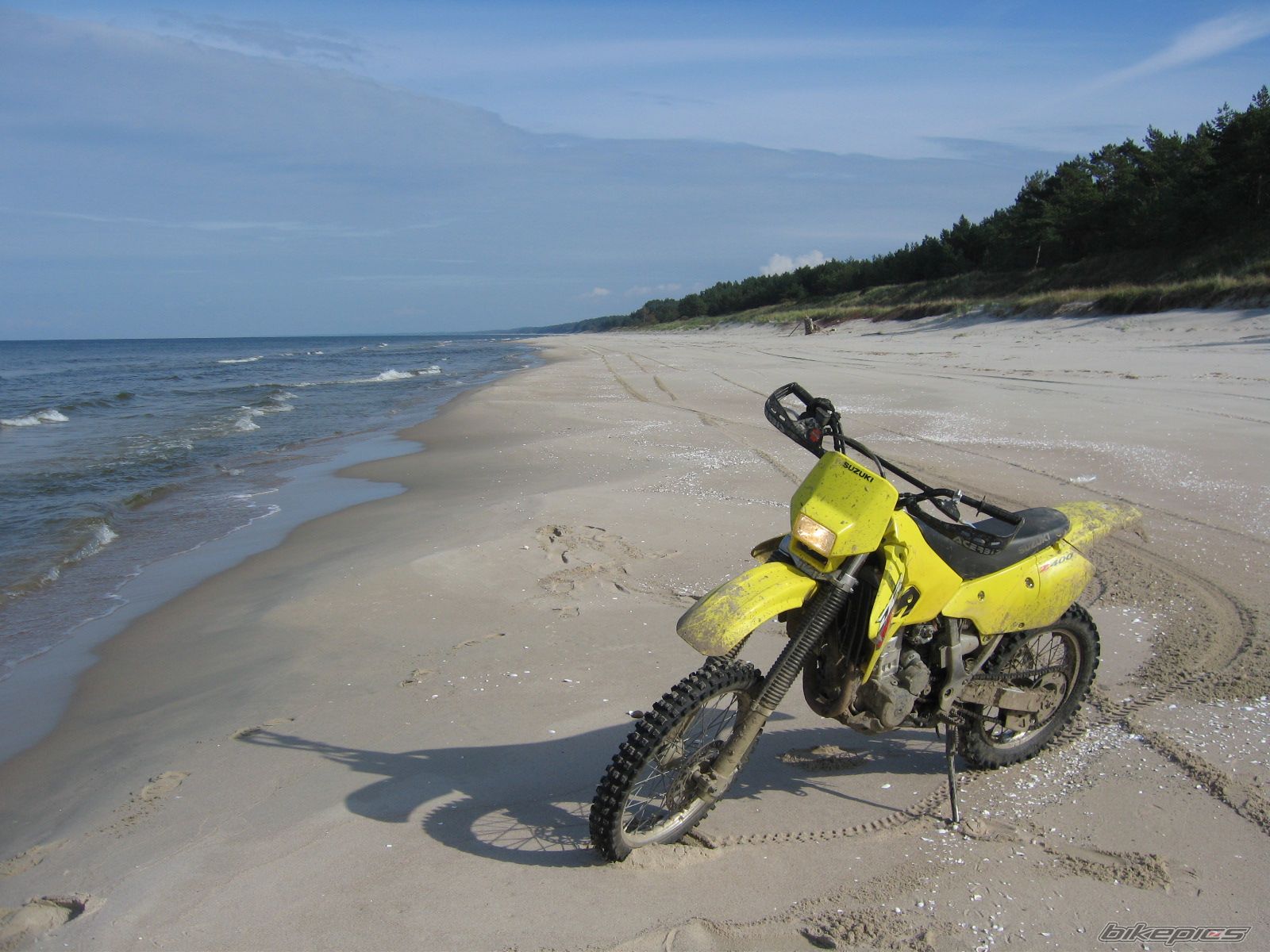 2003 SUZUKI DRZ 400 | Picture 1047854 motorcycle photo