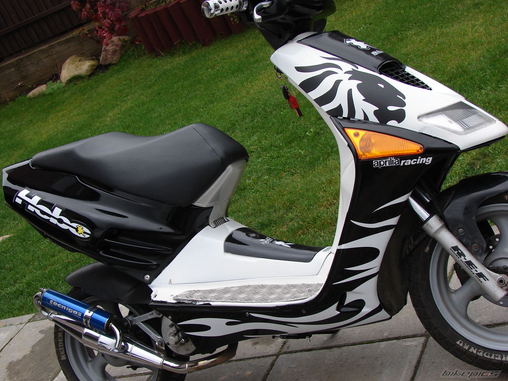 2008 APRILIA SR 50 | Picture 1047902 motorcycle photo