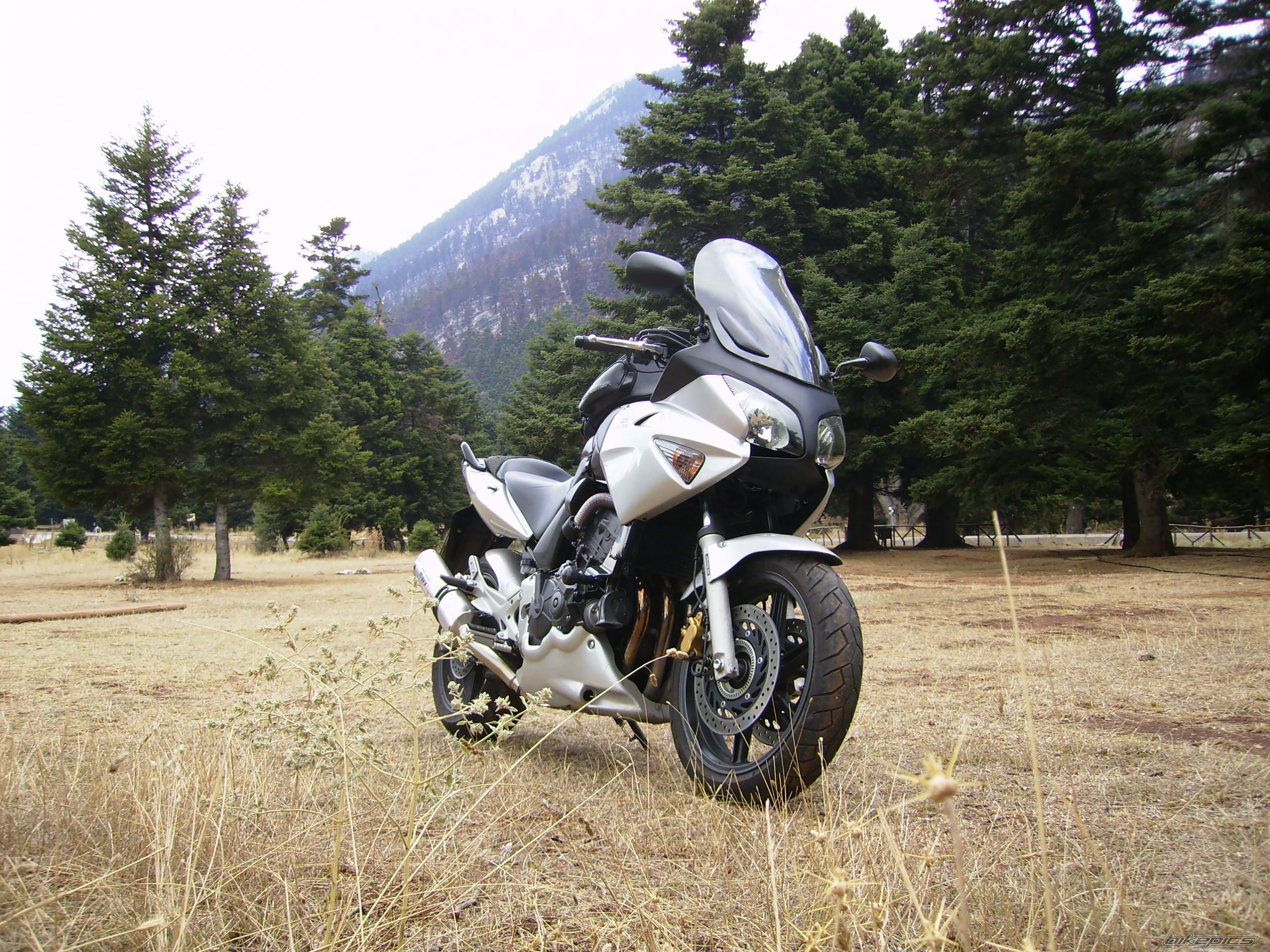 2004 HONDA CBF 600 | Picture 1048246 motorcycle photo