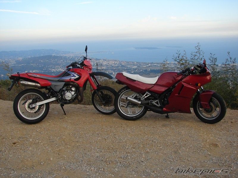 1991 HONDA NSR 125 | Picture 1048872 motorcycle photo