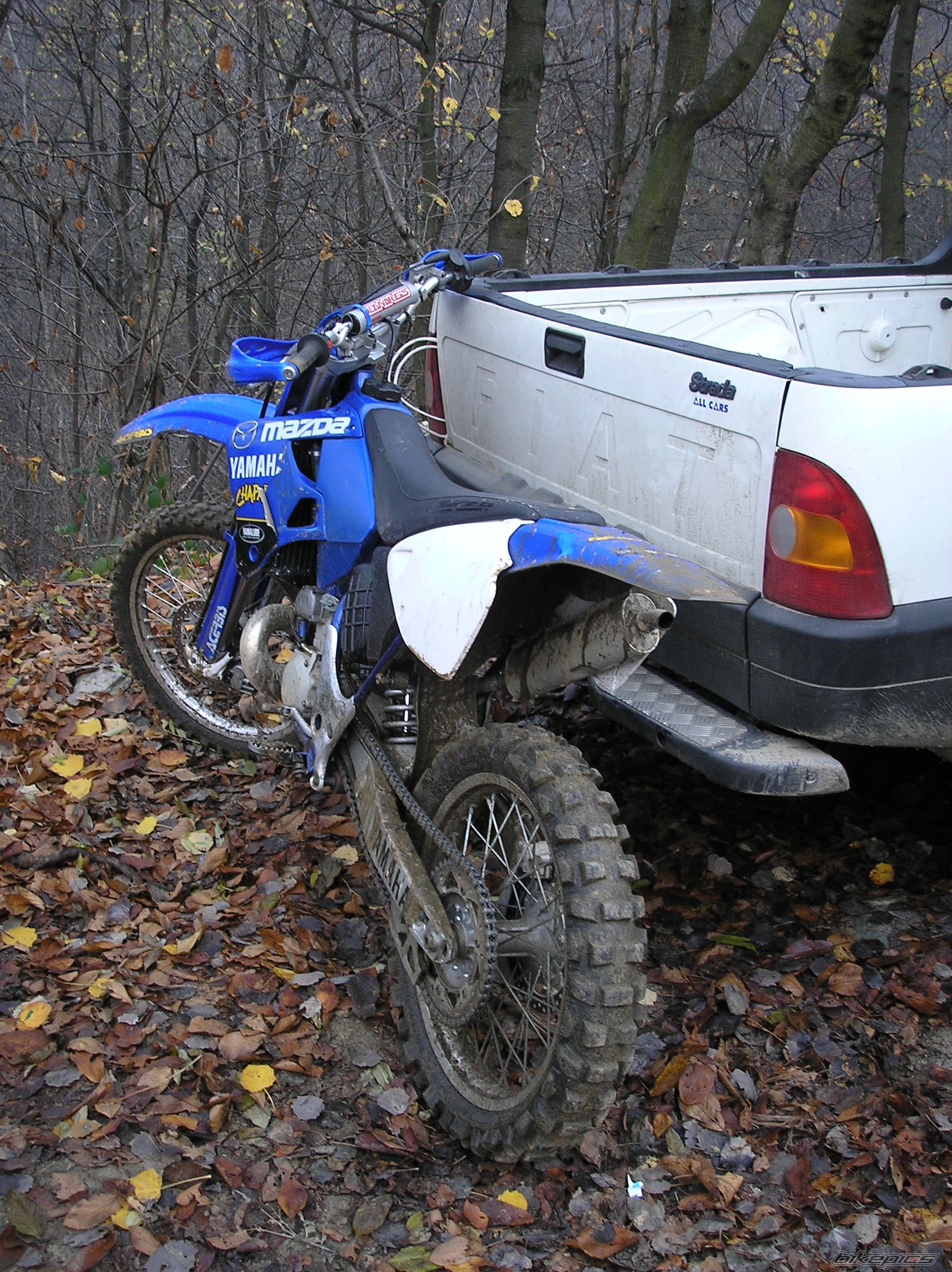 1998 YAMAHA YZ 250 | Picture 1049715 motorcycle photo