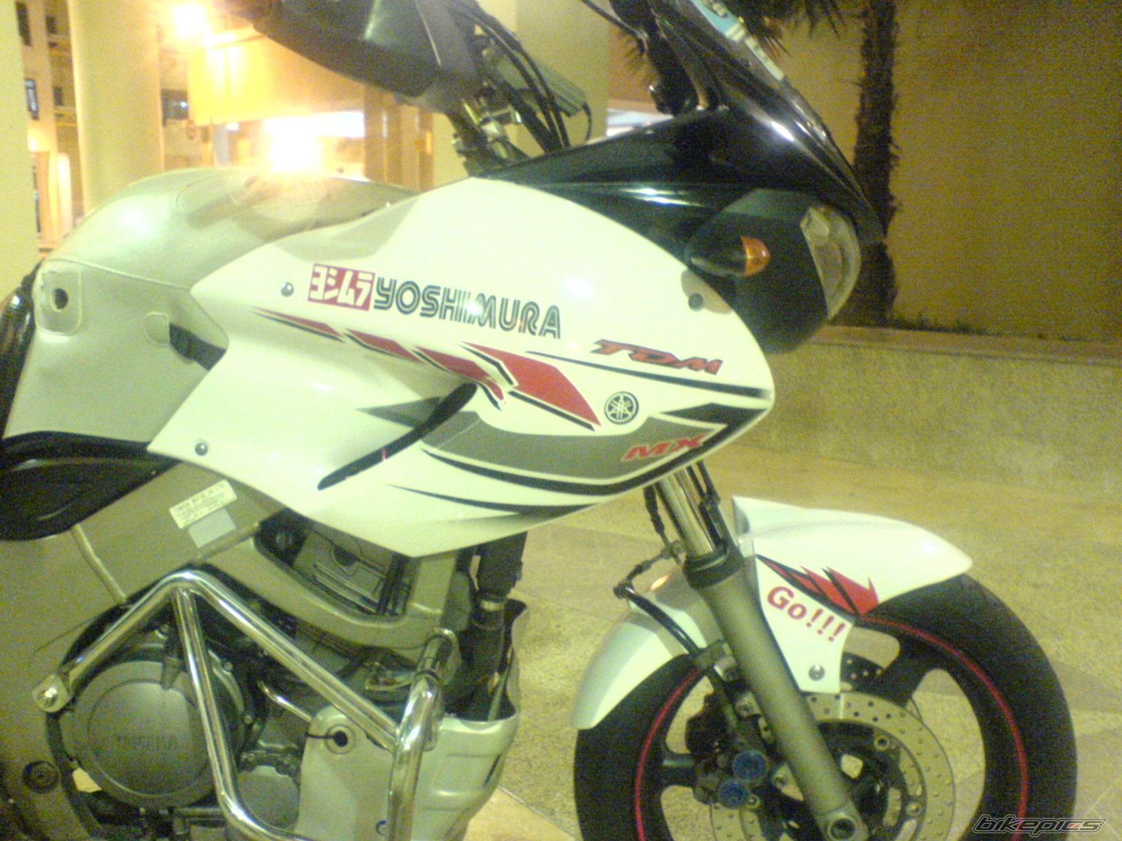 2003 YAMAHA TDM 900 | Picture 1050402 motorcycle photo