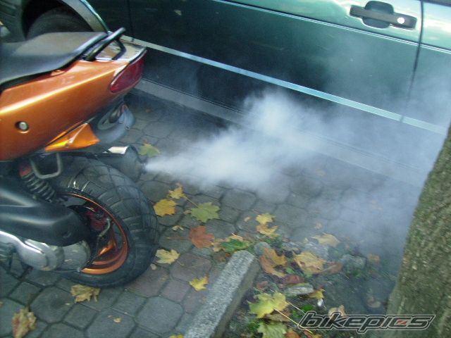 1998 PEUGEOT SPEEDFIGHT 100 | Picture 1050649 motorcycle photo