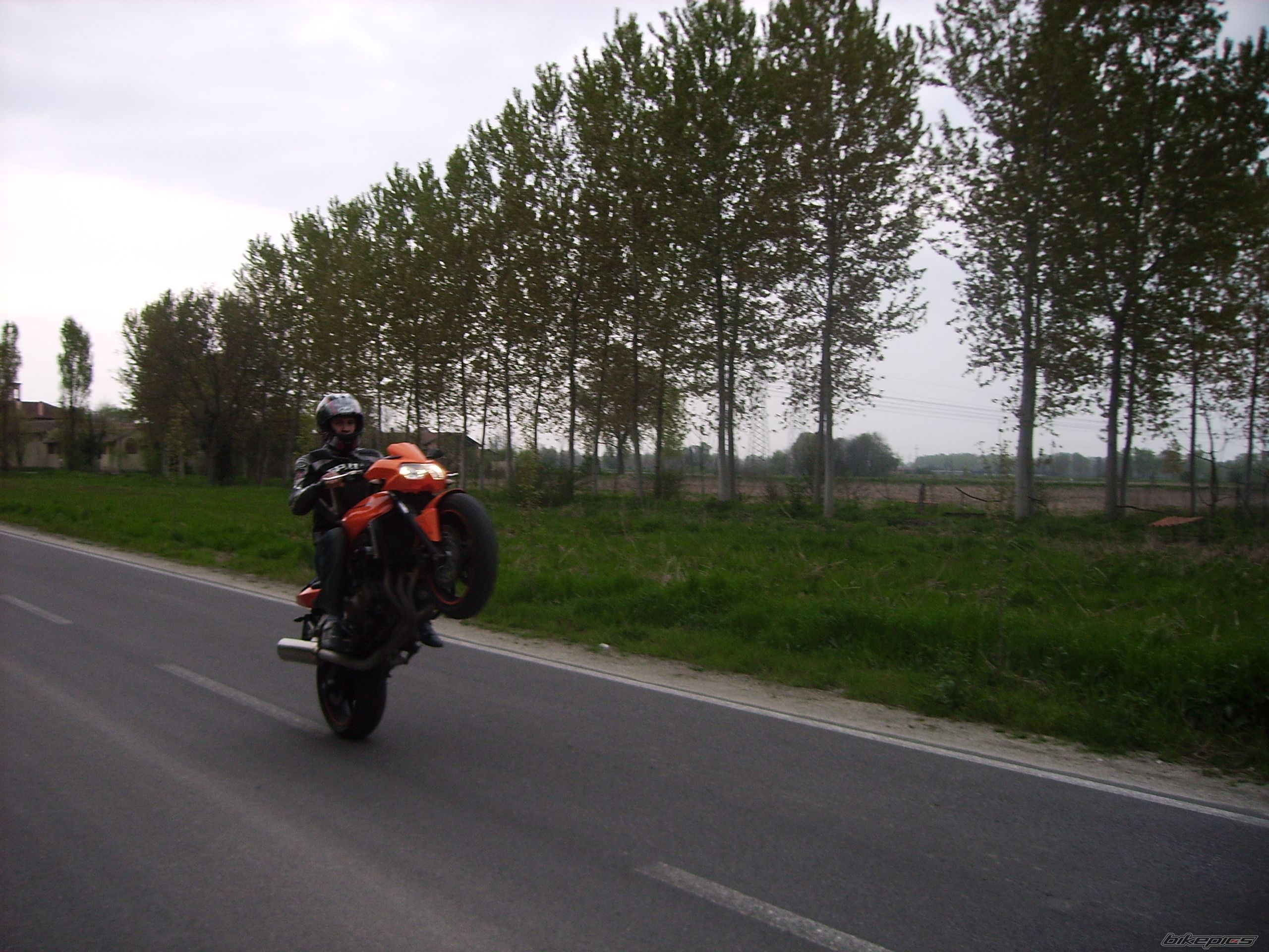 2006 KAWASAKI Z 750 | Picture 1050750 motorcycle photo