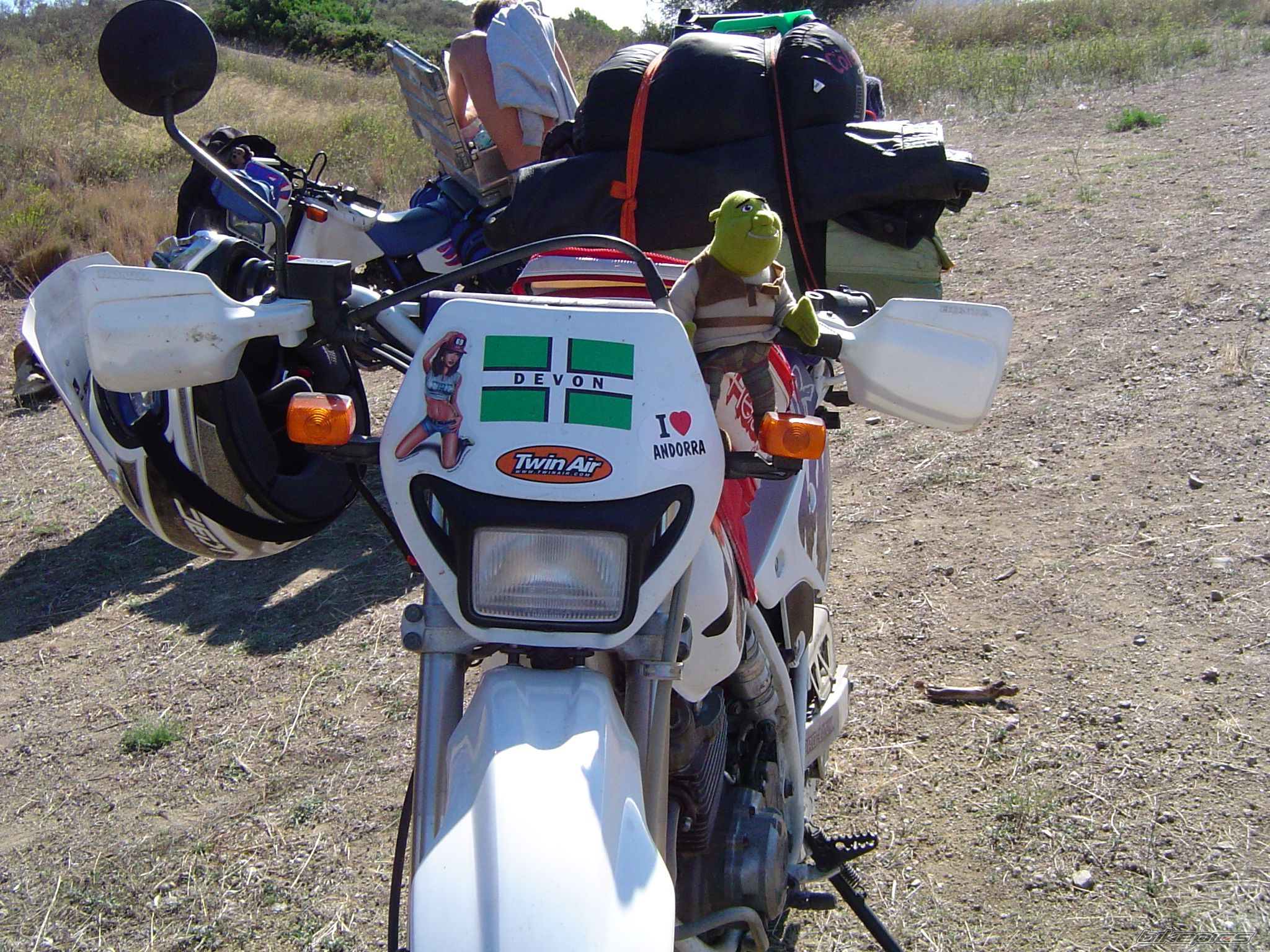 1995 HONDA XLR 250 | Picture 1051025 motorcycle photo